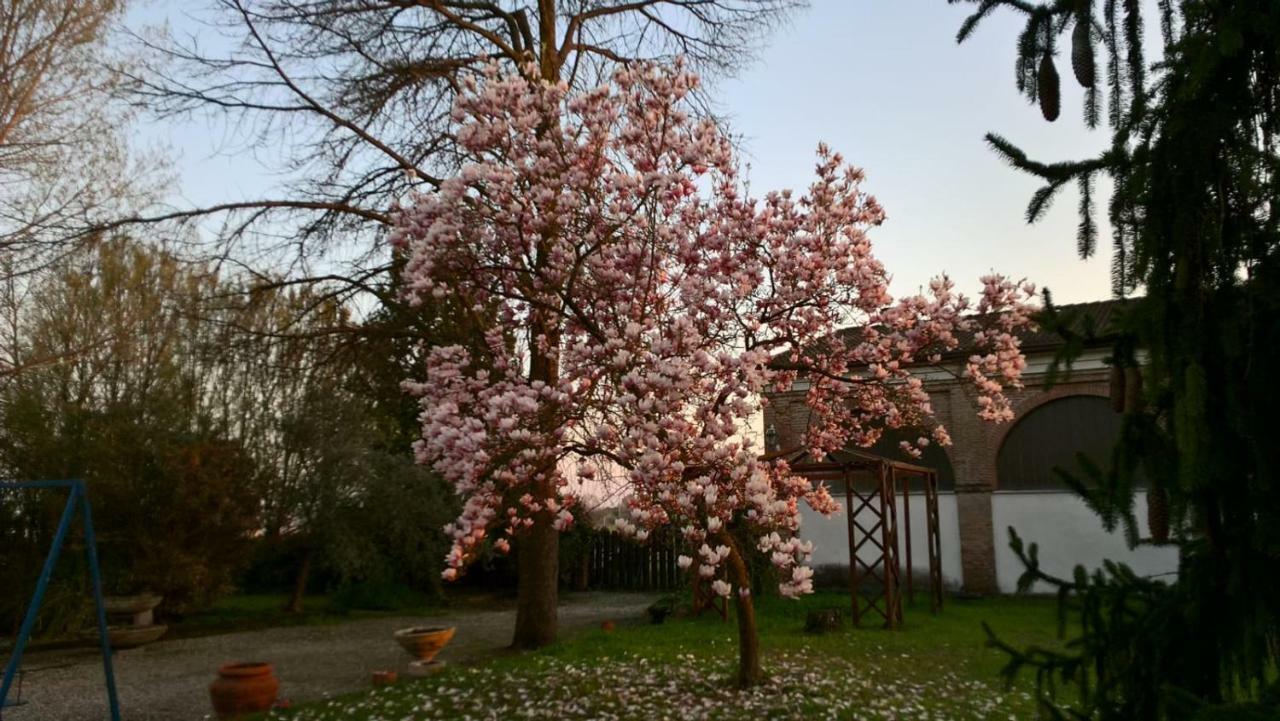 Agriturismo Cipolli E Podo Corte Carlini Mantova Exteriör bild