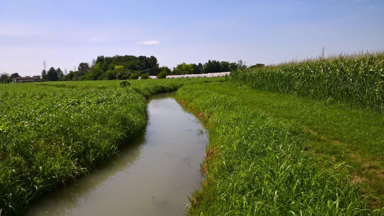 Agriturismo Cipolli E Podo Corte Carlini Mantova Exteriör bild